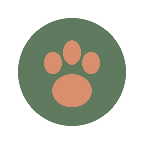Pawlia